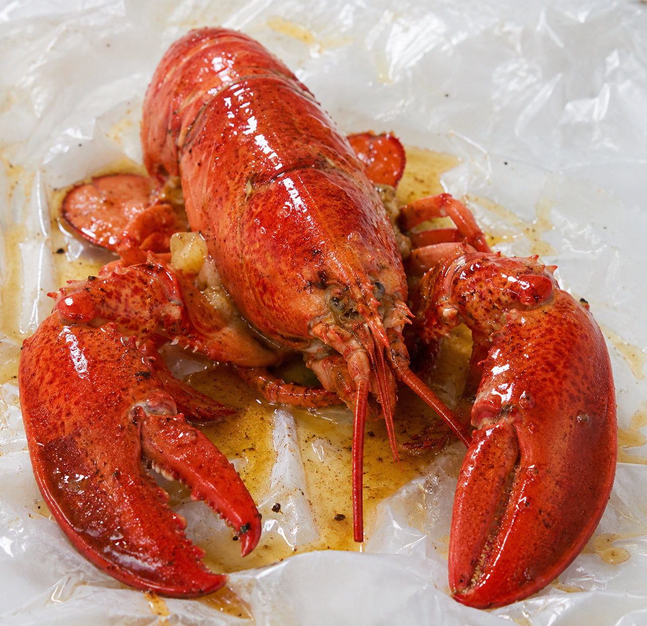 Fresh-cooked whole maine lobster covered in butter available for delivery in los angeles on a white tabletop.